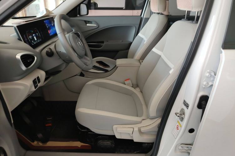 Used ORA White Cat 2020 305 km Luxury Version Left Front Seat