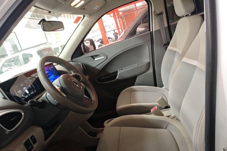Used ORA White Cat 2020 360 km Luxury Version Left Front Seat