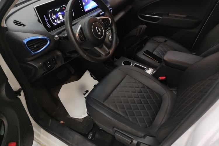 Used ORA White Cat 2020 401 km Long-Range Version Left Front Seat