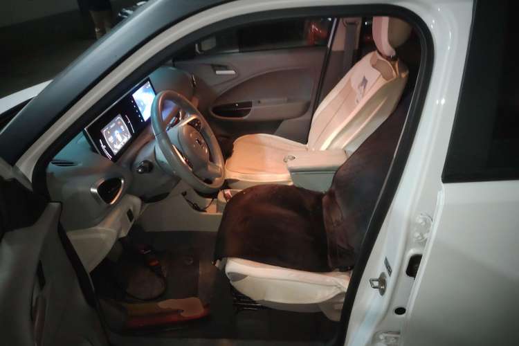 Used ORA White Cat 2020 360km Standard Version Left Front Seat