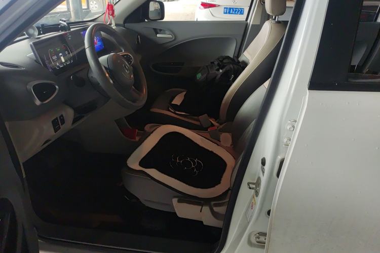 Used ORA White Cat 2020 401 km Long-Range Version Left Front Seat