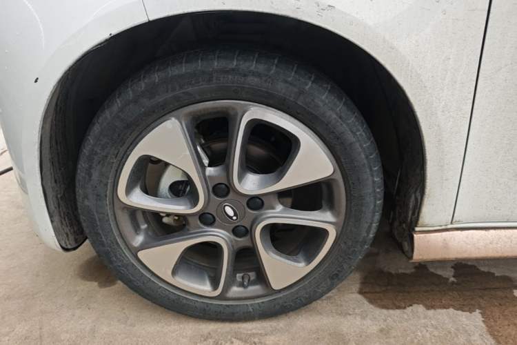 Used ORA White Cat 2020 360 km Luxury Version Left Front Wheel Hub