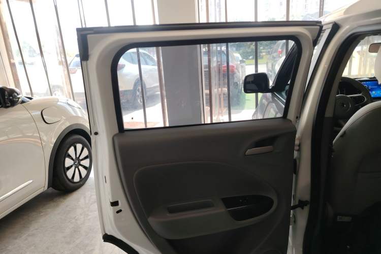 Used ORA White Cat 2020 305 km Luxury Version Left Rear Door Interior