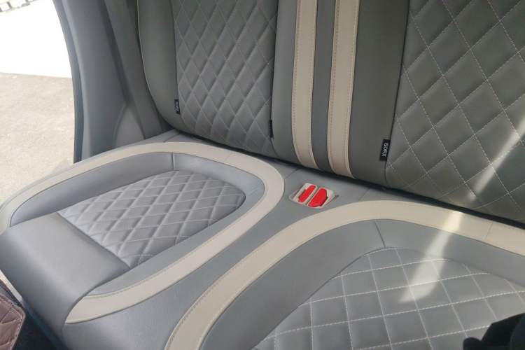 Used ORA White Cat 2020 401 km Flagship Version Left Rear Seat