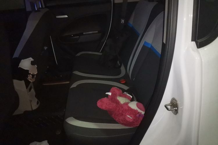 Used ORA White Cat 2020 305 km Luxury Version Left Rear Seat