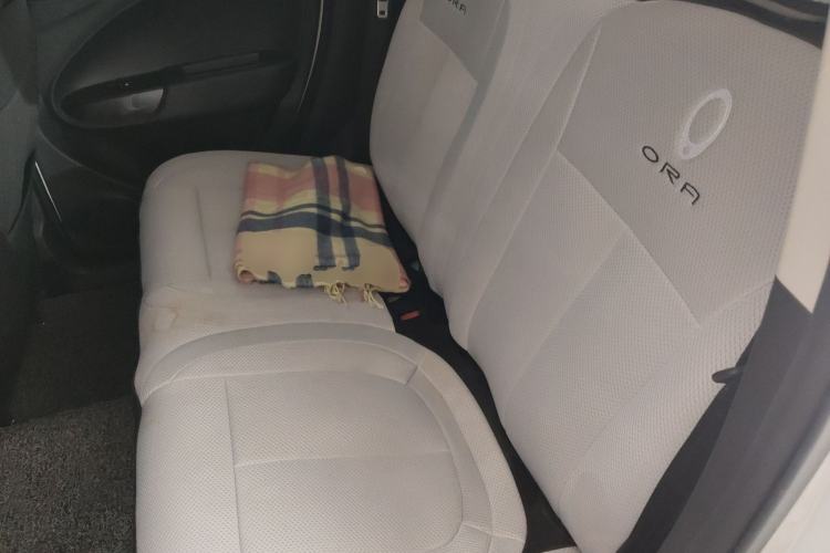Used ORA White Cat 2020 305 km Luxury Version Left Rear Seat