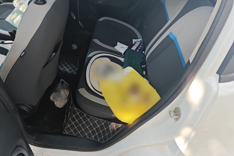 Used ORA White Cat 2020 305 km Luxury Version Left Rear Seat