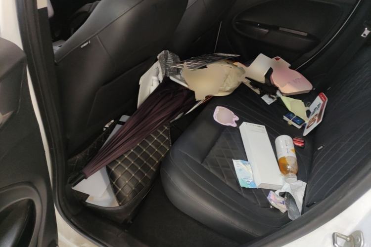 Used ORA White Cat 2020 401 km Long-Range Version Left Rear Seat