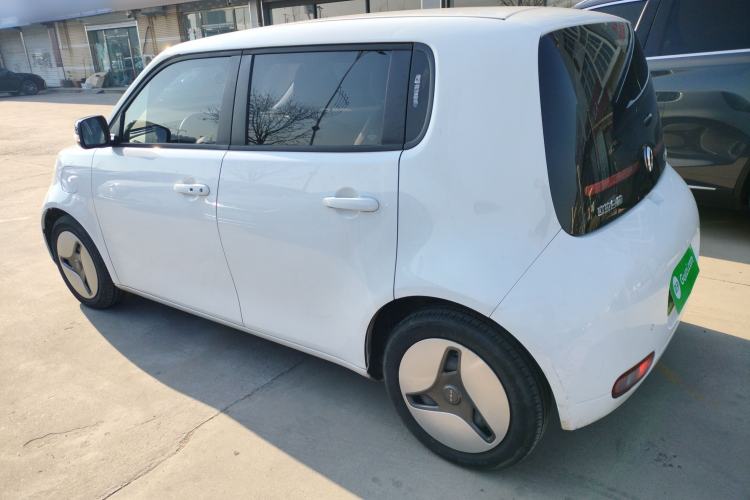 Used ORA White Cat 2020 401 km Long-Range Version Left Side
