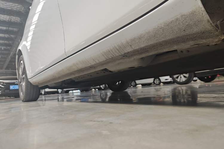 Used ORA White Cat 2020 305 km Luxury Version Left Side Sill