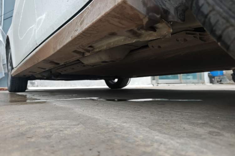 Used ORA White Cat 2020 360 km Luxury Version Left Side Sill