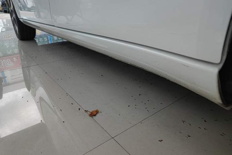 Used ORA White Cat 2020 305 km Luxury Version Left Side Sill