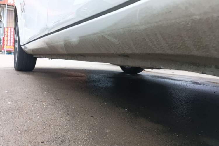 Used ORA White Cat 2020 305 km Luxury Version Left Side Sill