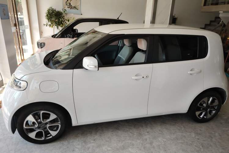 Used ORA White Cat 2020 305 km Luxury Version Left Side