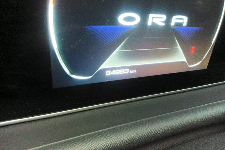 Used ORA White Cat 2020 305 km Luxury Version Odometer Close Up