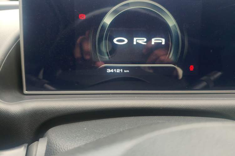 Used ORA White Cat 2020 360km Standard Version Odometer Close Up