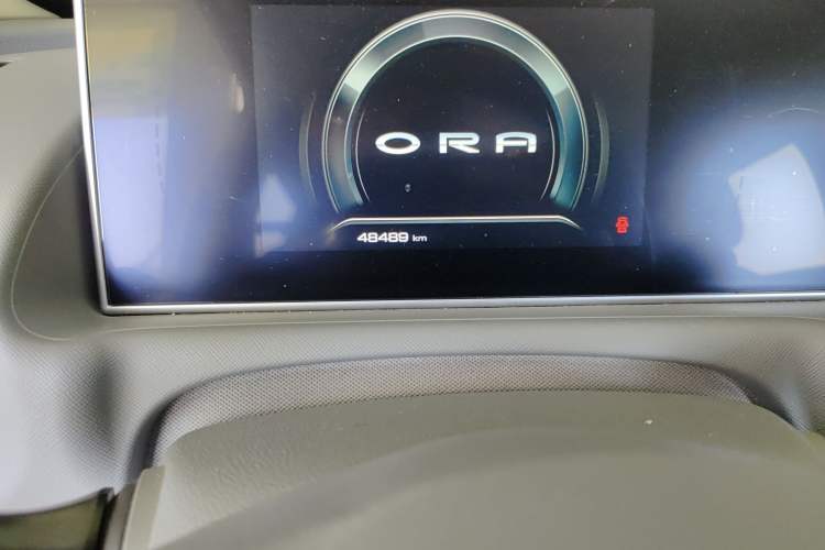 Used ORA White Cat 2020 401 km Flagship Version Odometer Close Up