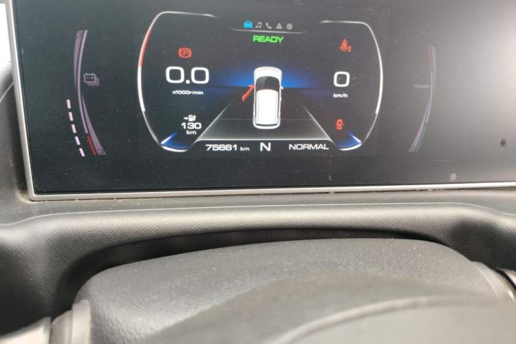 Used ORA White Cat 2020 305 km Luxury Version Odometer Close Up