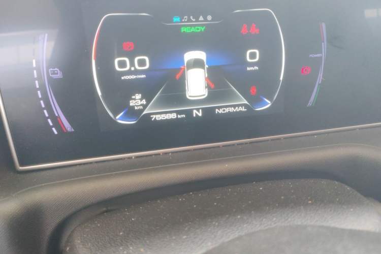 Used ORA White Cat 2020 305 km Luxury Version Odometer Close Up