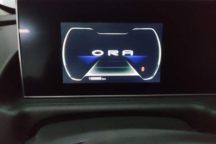 Used ORA White Cat 2020 305 km Luxury Version Odometer Close Up