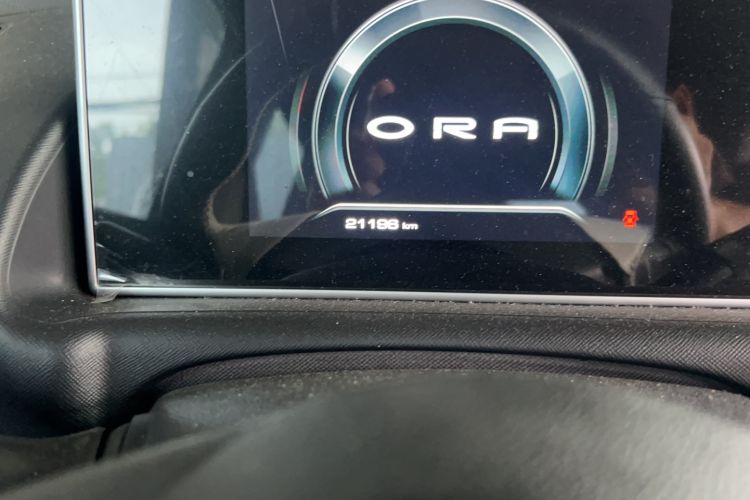 Used ORA White Cat 2020 305 km Luxury Version Odometer Close Up