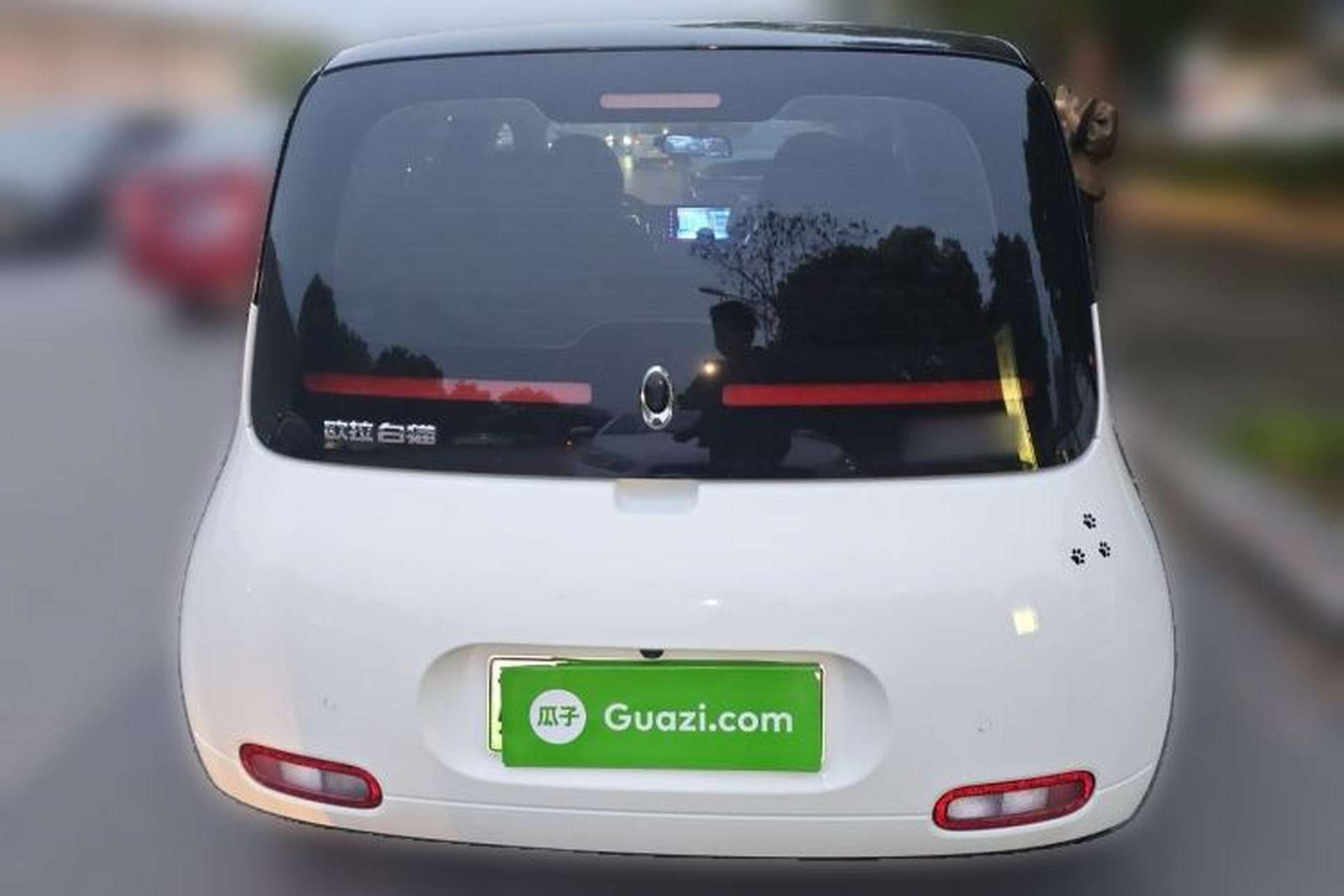 Used ORA White Cat 2020 305 km Luxury Version Rear