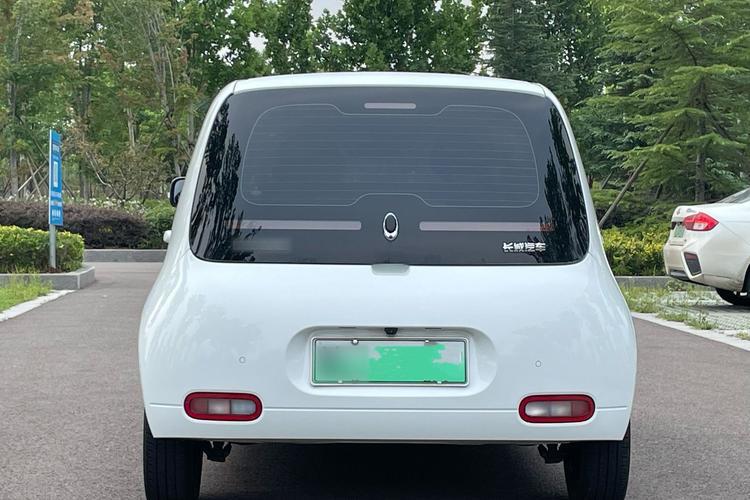 Used ORA White Cat 2020 360 km Luxury Version Rear