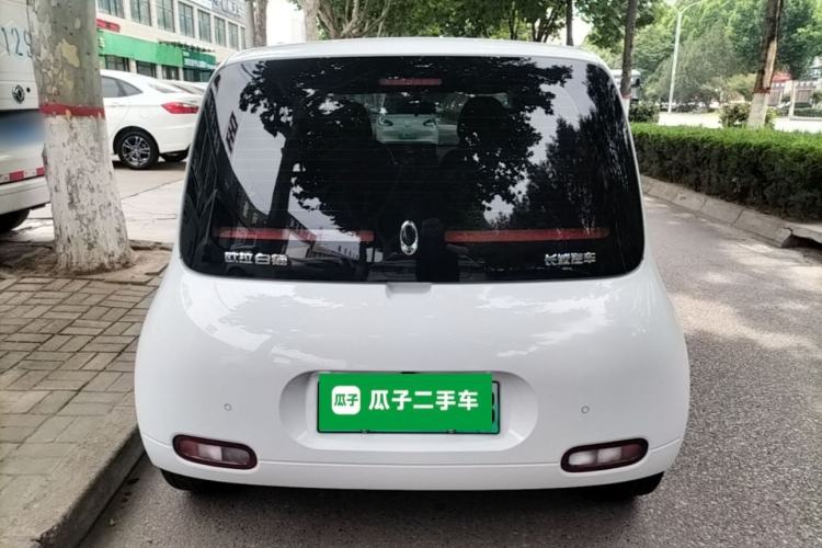 Used ORA White Cat 2020 360 km Luxury Version Rear