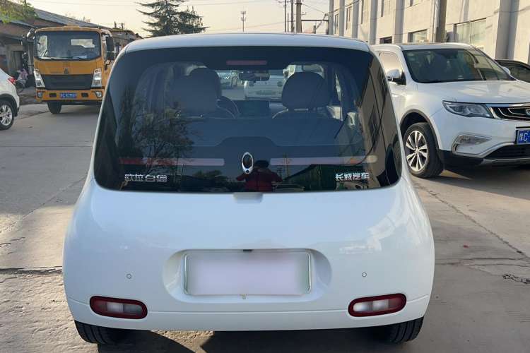 Used ORA White Cat 2020 401 km Flagship Version Rear