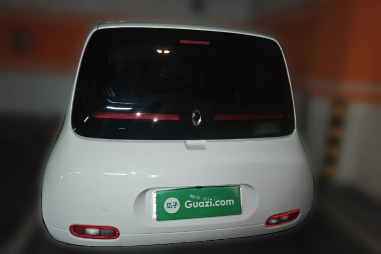 Used ORA White Cat 2020 305 km Luxury Version Rear