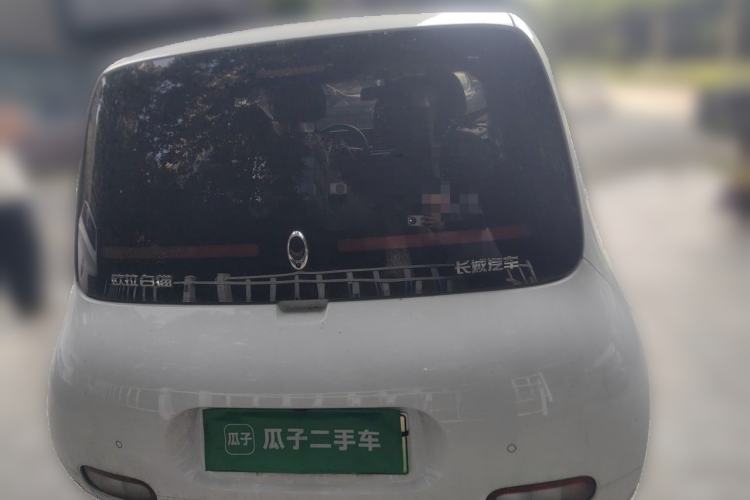 Used ORA White Cat 2020 305 km Luxury Version Rear