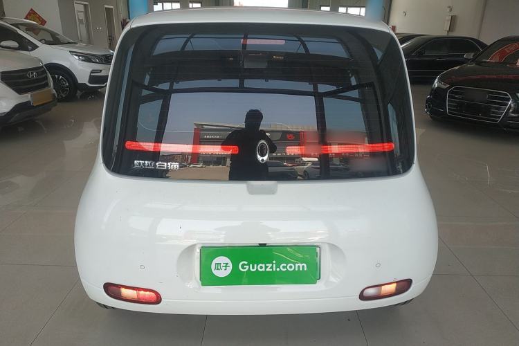 Used ORA White Cat 2020 305 km Luxury Version Rear