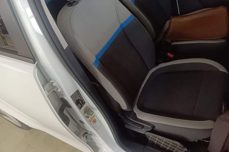 Used ORA White Cat 2020 360 km Luxury Version Right Front Seat