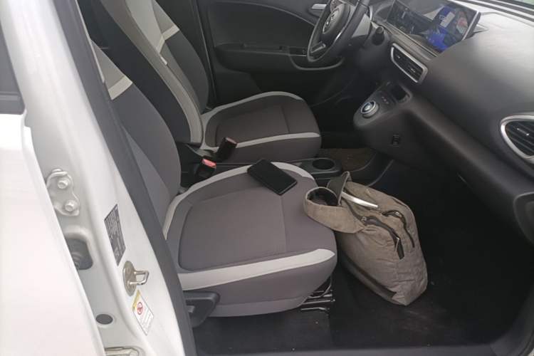 Used ORA White Cat 2020 360 km Luxury Version Right Front Seat