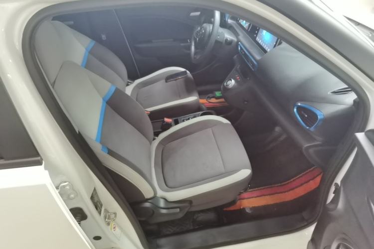 Used ORA White Cat 2020 305 km Luxury Version Right Front Seat