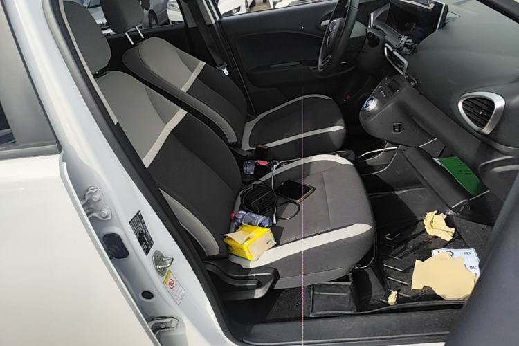 Used ORA White Cat 2020 360 km Luxury Version Right Front Seat