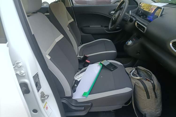 Used ORA White Cat 2020 360 km Luxury Version Right Front Seat