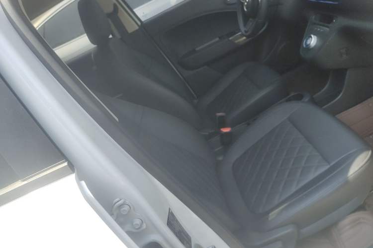 Used ORA White Cat 2020 401 km Long-Range Version Right Front Seat