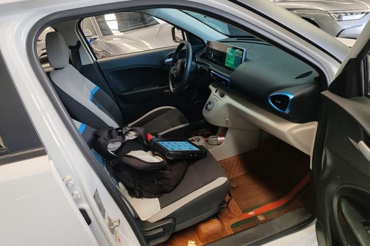 Used ORA White Cat 2020 305 km Luxury Version Right Front Seat