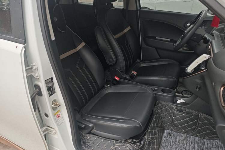 Used ORA White Cat 2020 360 km Luxury Version Right Front Seat