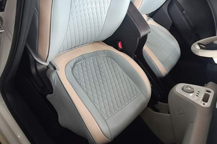 Used ORA White Cat 2020 305 km Luxury Version Right Front Seat
