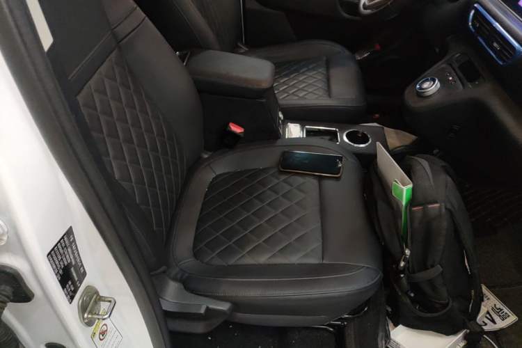 Used ORA White Cat 2020 401 km Long-Range Version Right Front Seat