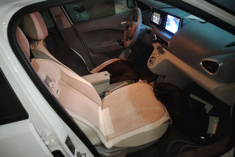 Used ORA White Cat 2020 360km Standard Version Right Front Seat