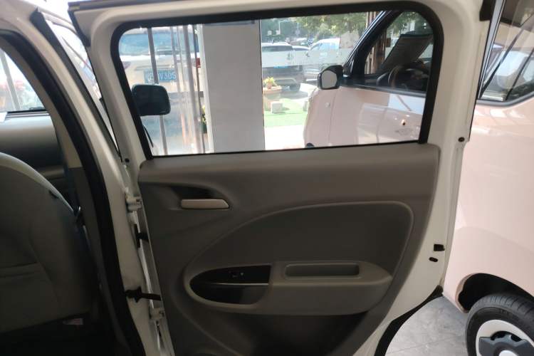 Used ORA White Cat 2020 305 km Luxury Version Right Rear Door Interior