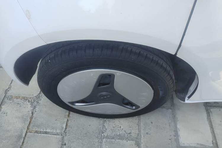 Used ORA White Cat 2020 401 km Long-Range Version Right Rear Wheel Hub