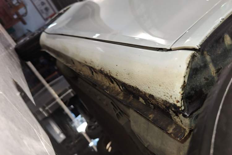 Used ORA White Cat 2020 305 km Luxury Version Right Side Sill