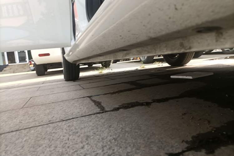 Used ORA White Cat 2020 360 km Luxury Version Right Side Sill