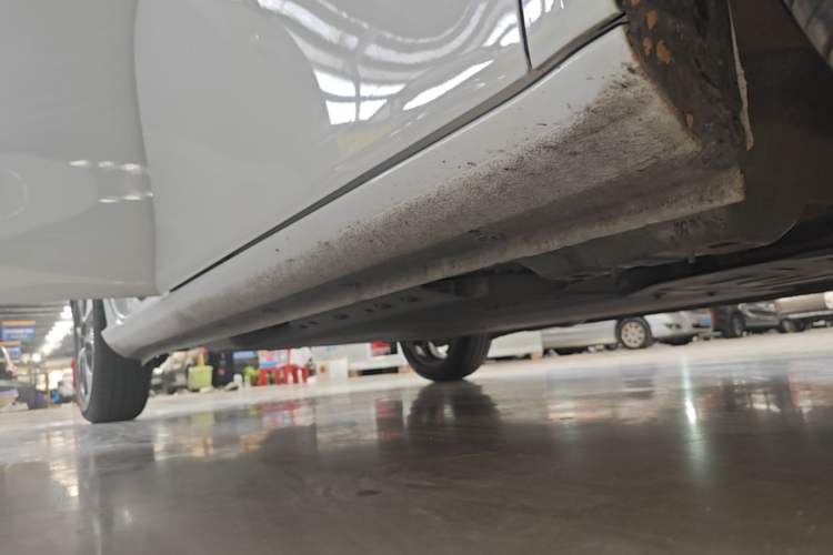 Used ORA White Cat 2020 305 km Luxury Version Right Side Sill