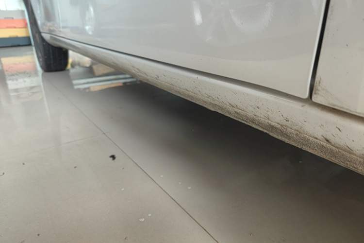 Used ORA White Cat 2020 305 km Luxury Version Right Side Sill