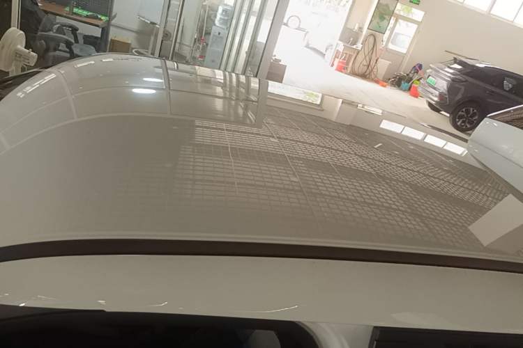 Used ORA White Cat 2020 360 km Luxury Version Roof